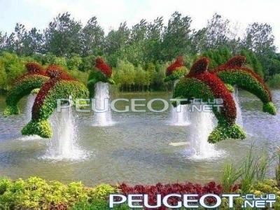[Peugeot-Club.net] - дельфины.jpg