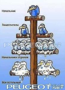[Peugeot-Club.net] - иерархия.jpg