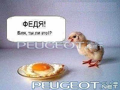 [Peugeot-Club.net] - федя.jpg
