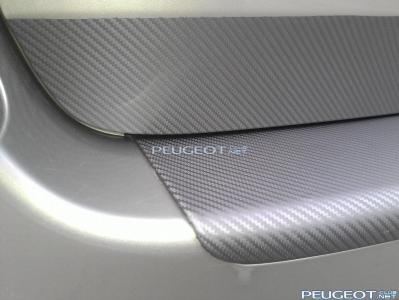 [Peugeot-Club.net] - WP_002245.jpg