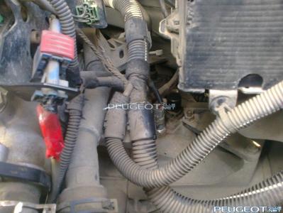 [Peugeot-Club.net] - Фото0109.jpg