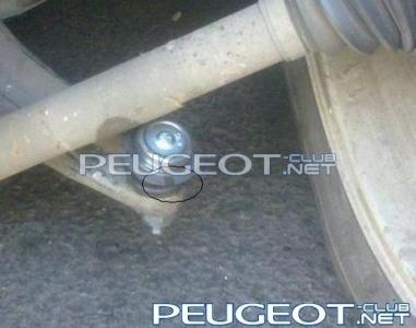 [Peugeot-Club.net] - 123.JPG