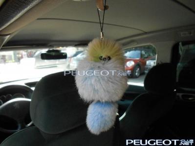 [Peugeot-Club.net] - Енот путешественник.JPG