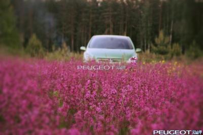 [Peugeot-Club.net] - zwS9LGhMCa0.jpg
