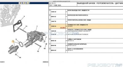 [Peugeot-Club.net] - термостат.jpg