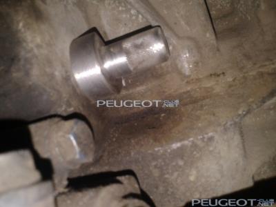 [Peugeot-Club.net] - Фото-0306-1.jpg
