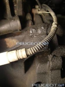 [Peugeot-Club.net] - IMGP8463.JPG