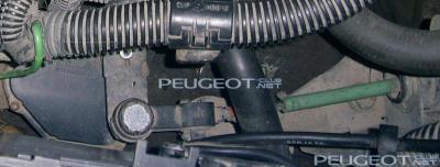 [Peugeot-Club.net] - PIC_0255.JPG