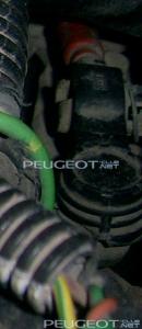 [Peugeot-Club.net] - PIC_0254.JPG