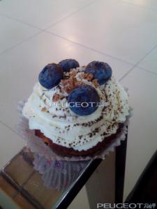 [Peugeot-Club.net] - IMG_20140826_164651.jpg