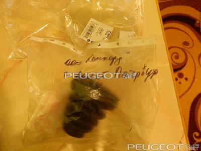 [Peugeot-Club.net] - DSCN1382.JPG