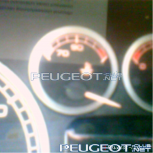 peugeot-lab.net - Мое фото 1.png