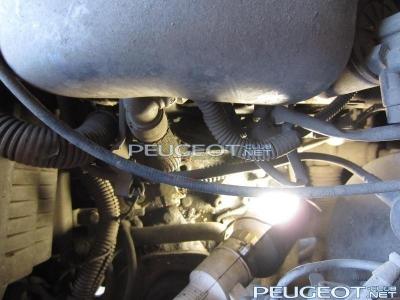 Peugeot-Club.net - 2.jpg