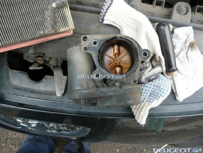 [Peugeot-Club.net] - P1040527.JPG