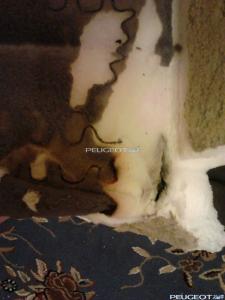 [Peugeot-Club.net] - 09.jpg