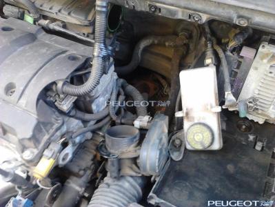[Peugeot-Club.net] - 03.jpg