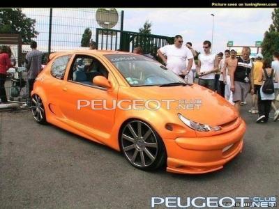 [Peugeot-Club.net] - Пежо 2.jpg