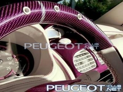 [Peugeot-Club.net] - Руль 206.jpg