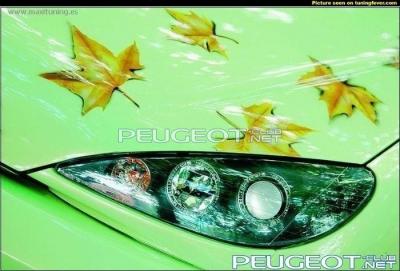 [Peugeot-Club.net] - image.jpg