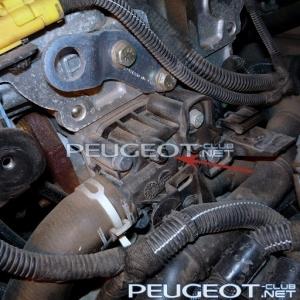 [Peugeot-Club.net] - zxcvb22.jpg