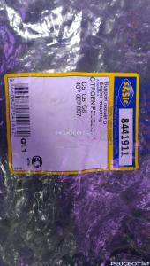 [Peugeot-Club.net] - IMAG0202.jpg