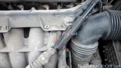 [Peugeot-Club.net] - IMG_20140925_133436.jpg