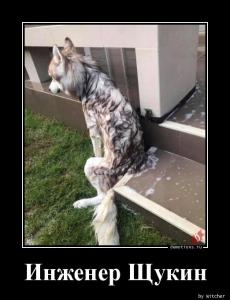 Инженер Щукин.jpg