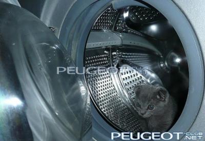 [Peugeot-Club.net] - getImage2.jpeg