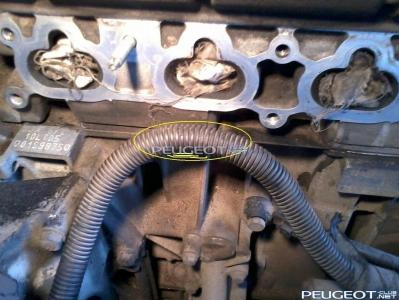 [Peugeot-Club.net] - Фото-02171.JPG