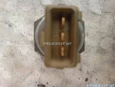 [Peugeot-Club.net] - DSC00474.JPG