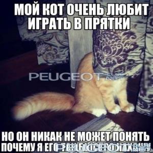 [Peugeot-Club.net] - OVclcit5LvI.jpg