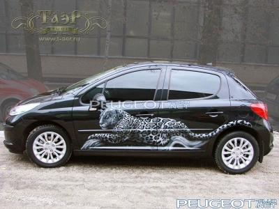 [Peugeot-Club.net] - image.jpg