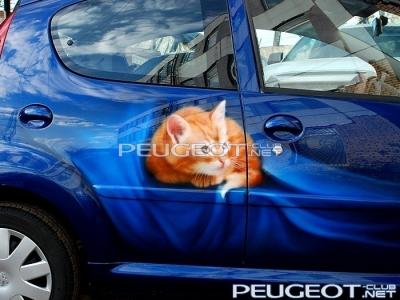 [Peugeot-Club.net] - image.jpg