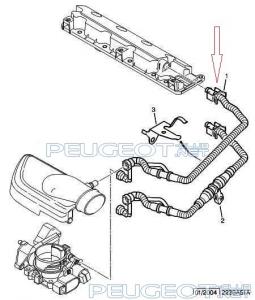 [Peugeot-Club.net] - ImageHandler.jpg