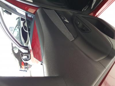 пластик на двери.jpg