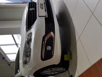 общий вид408.jpg