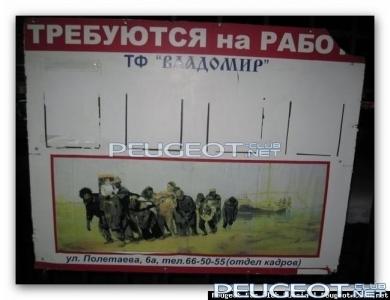 Magical Snap - 2011.11.11 01.03 - 006.jpg