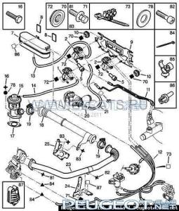 система ЕГР.jpg