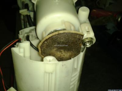 2011-11-26 19.20.07.jpg