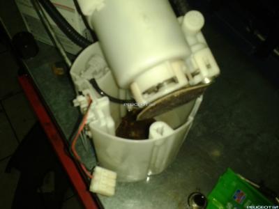 2011-11-26 19.18.48.jpg