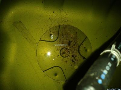 2011-11-26 19.14.24.jpg