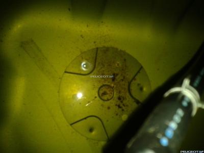 2011-11-26 19.14.30.jpg