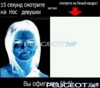 [Peugeot-Club.net] - шшш.jpg