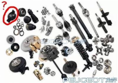 [Peugeot-Club.net] - podveska.jpg