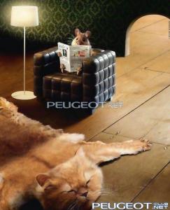 [Peugeot-Club.net] - Pictures_37.jpg