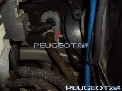 [Peugeot-Club.net] - blindstopfen_174450.jpg