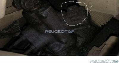 [Peugeot-Club.net] - IMAG0248.jpg