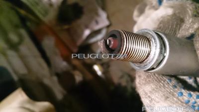 [Peugeot-Club.net] - DSC_0168.JPG