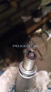 [Peugeot-Club.net] - DSC_0167.JPG