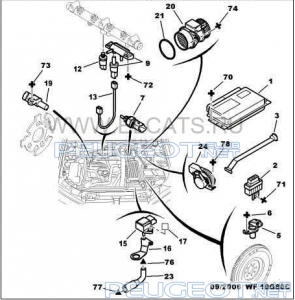 [Peugeot-Club.net] - Screenshot_1.png